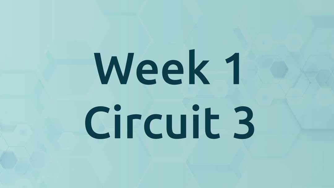 Week 1 Circuit 3