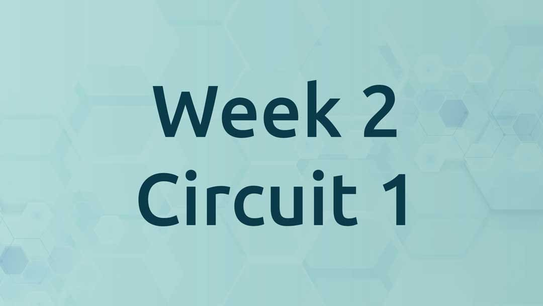 Week 2 Circuit 1