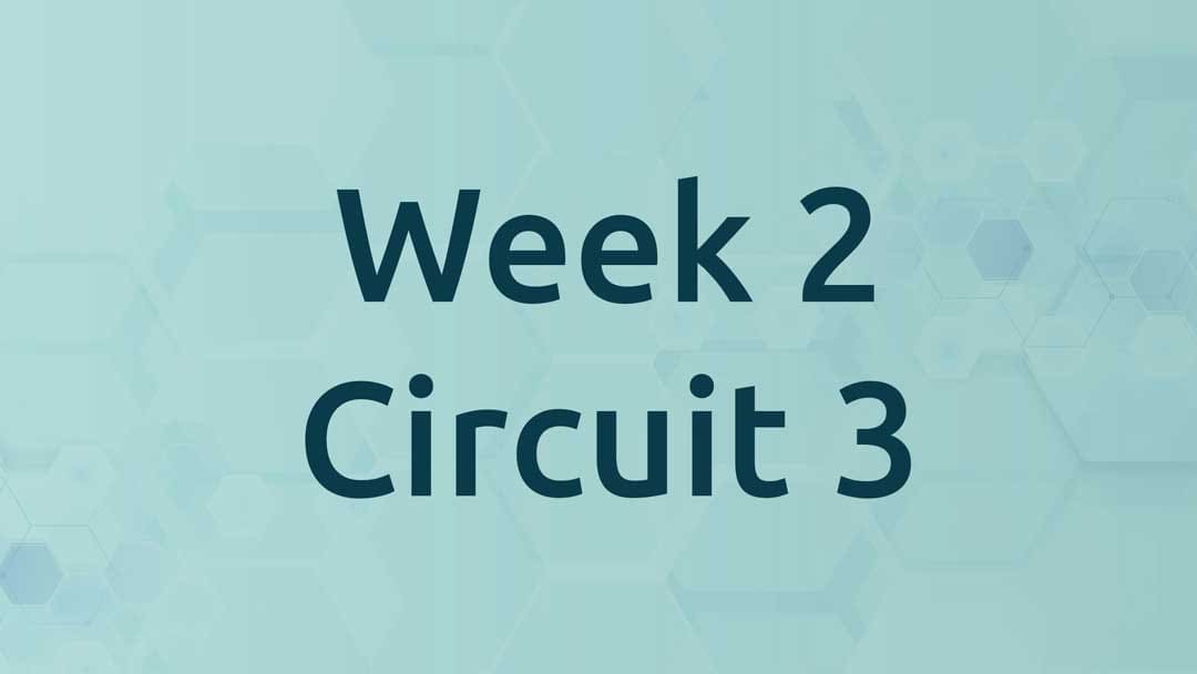 Week 2 Circuit 3