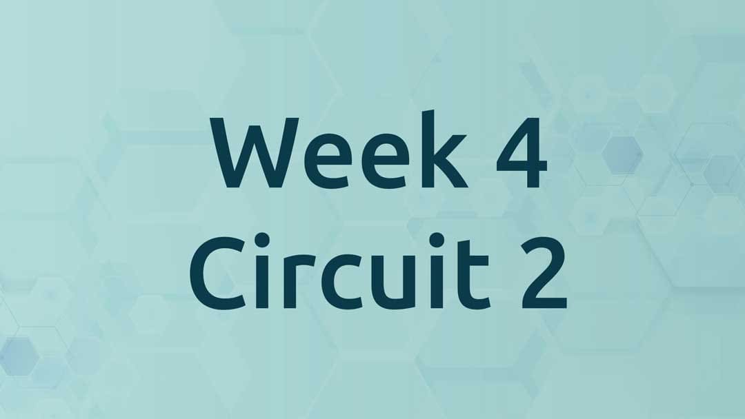 Week 4 Circuit 2