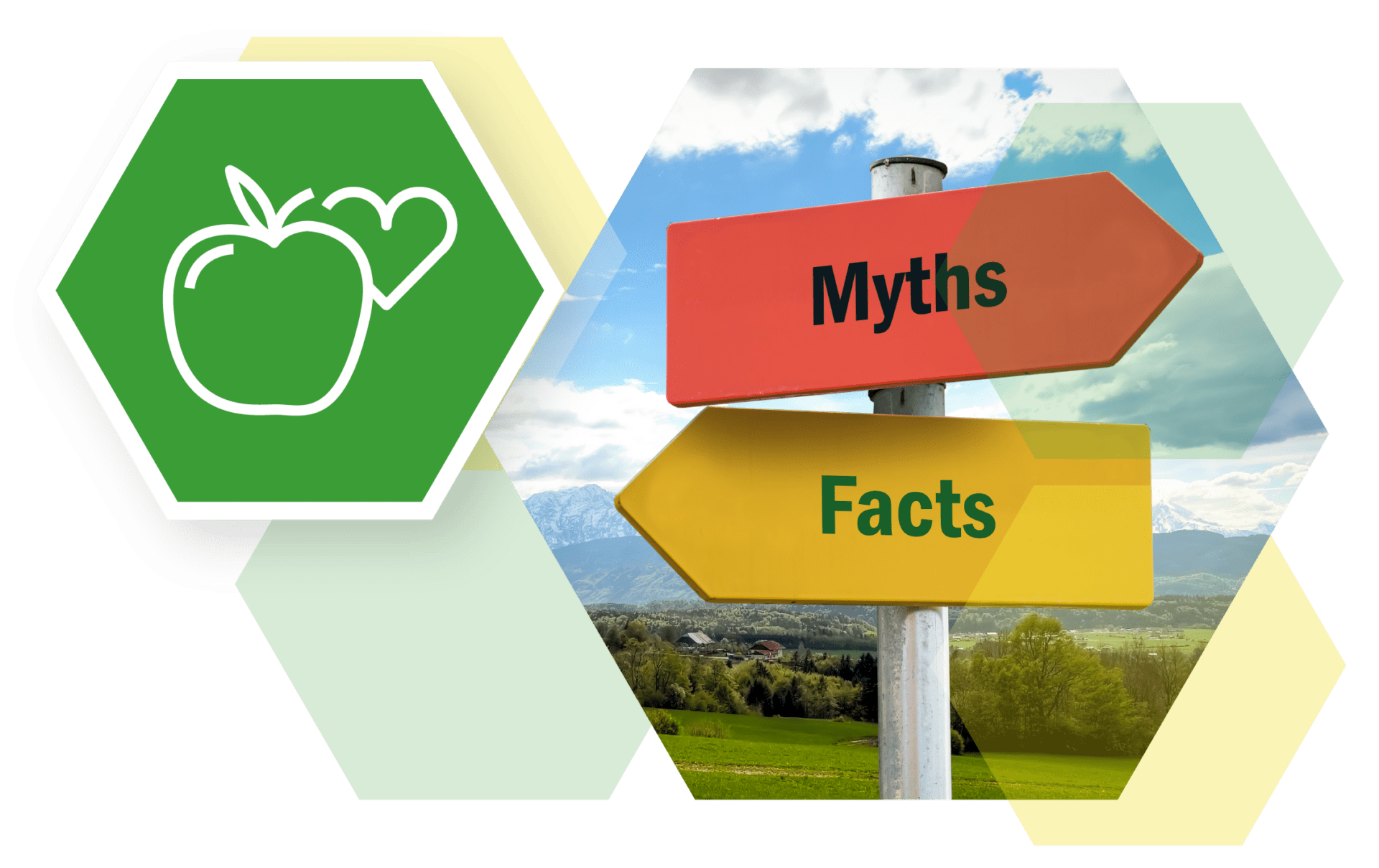 4 Diet Myths